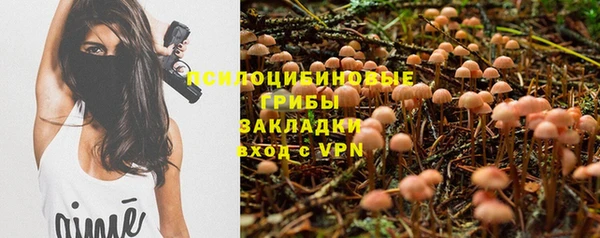 ALPHA PVP Горнозаводск