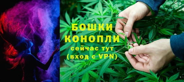 ALPHA PVP Горнозаводск